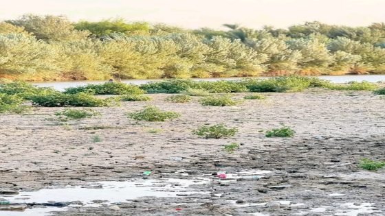 بالصور.. جفاف شط البدعة في الشطرة بذي قار نتيجة تراجع الإيرادات المائية