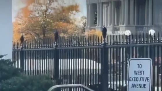 يتسائل الكثيرون لماذا تم إستقبال ابو محمد الجولاني من الباب الخلفي و ليس الأمامي للبيت الأبيض؟