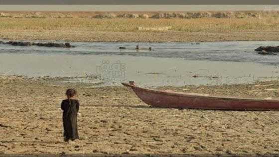 جفاف الأهوار في ميسان يفاقم معاناة السكان ويهدد الثروة الحيوانية