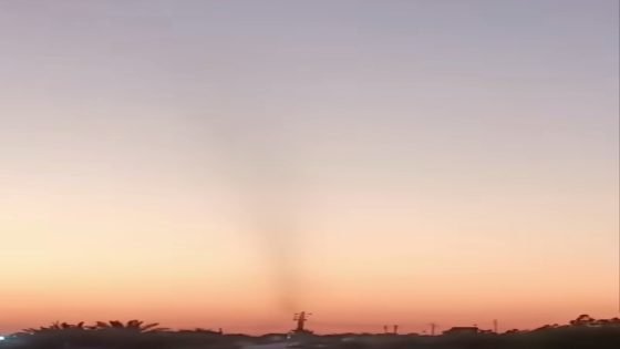 دخول حشرات بأعداد كبيره على شكل اعصار في محافظة ميسان