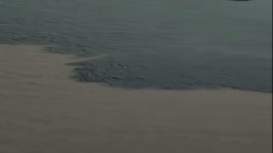 عاجل… تلوث مياه نهر دجلة في ميسان