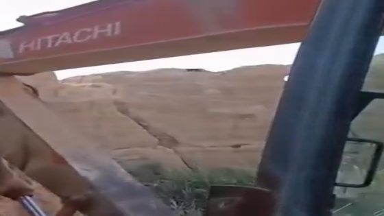 ظهور نمر أسود نادر في ميسان؟.. ما حقيقة ما يتم تداوله من جزيرة الطيب