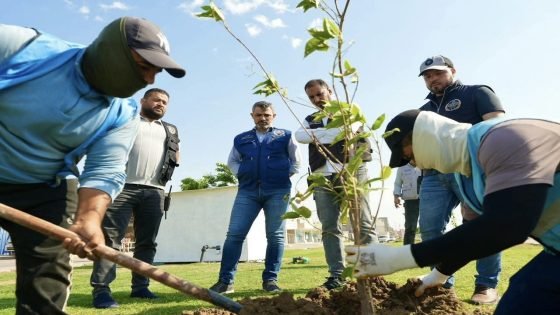 بلدية الرمادي تعلن زراعة 17 ألف شجرة لتعزيز المساحات الخضراء